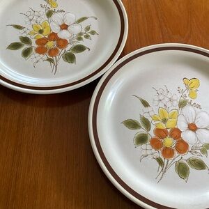 Vintage Stoneware Dinner Plates Set/2